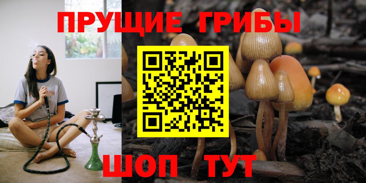 Галлюциногенные грибы прущие грибы Лыткарино