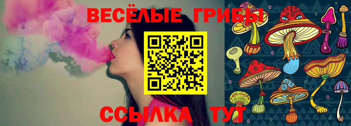 Псилоцибиновые грибы прущие грибы  Псилоцибиновые грибы Magic Shrooms  Вход с VPN  Лыткарино 